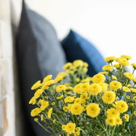 Elia Residences Santorini Couette-café 3*